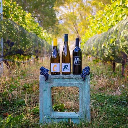 Crowsnest Vineyards Guesthouse Keremeos 外观 照片