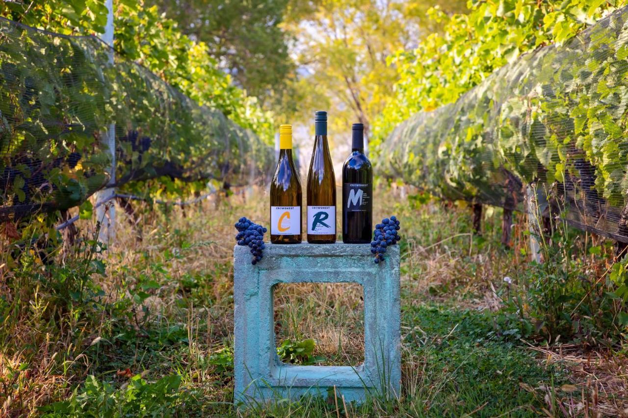 Crowsnest Vineyards Guesthouse Keremeos 外观 照片