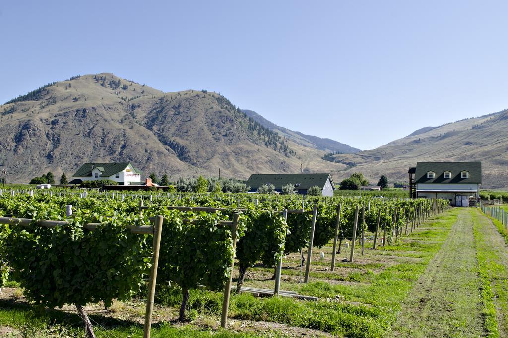 Crowsnest Vineyards Guesthouse Keremeos 外观 照片