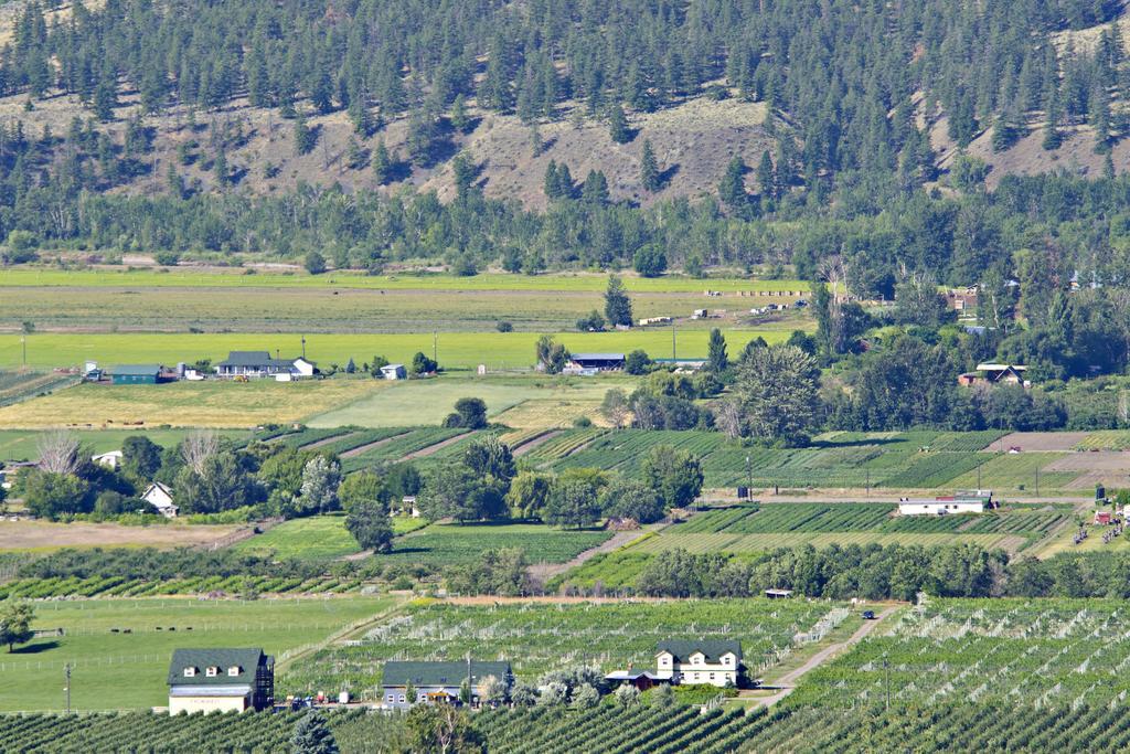 Crowsnest Vineyards Guesthouse Keremeos 外观 照片