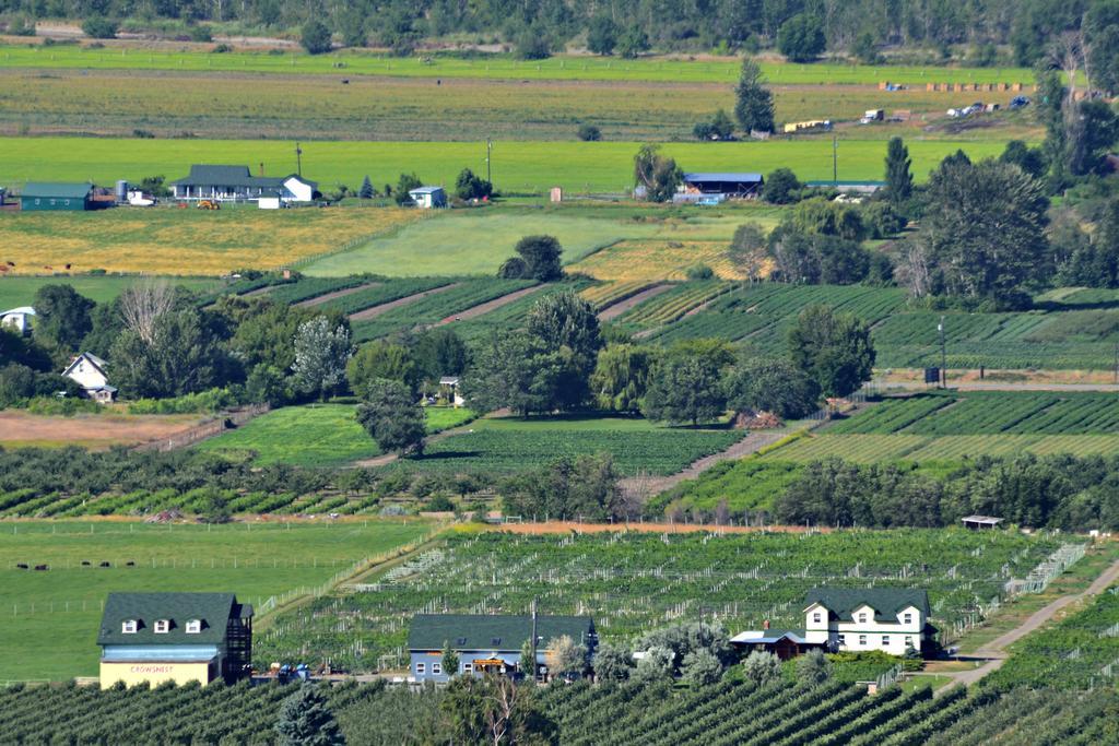 Crowsnest Vineyards Guesthouse Keremeos 外观 照片