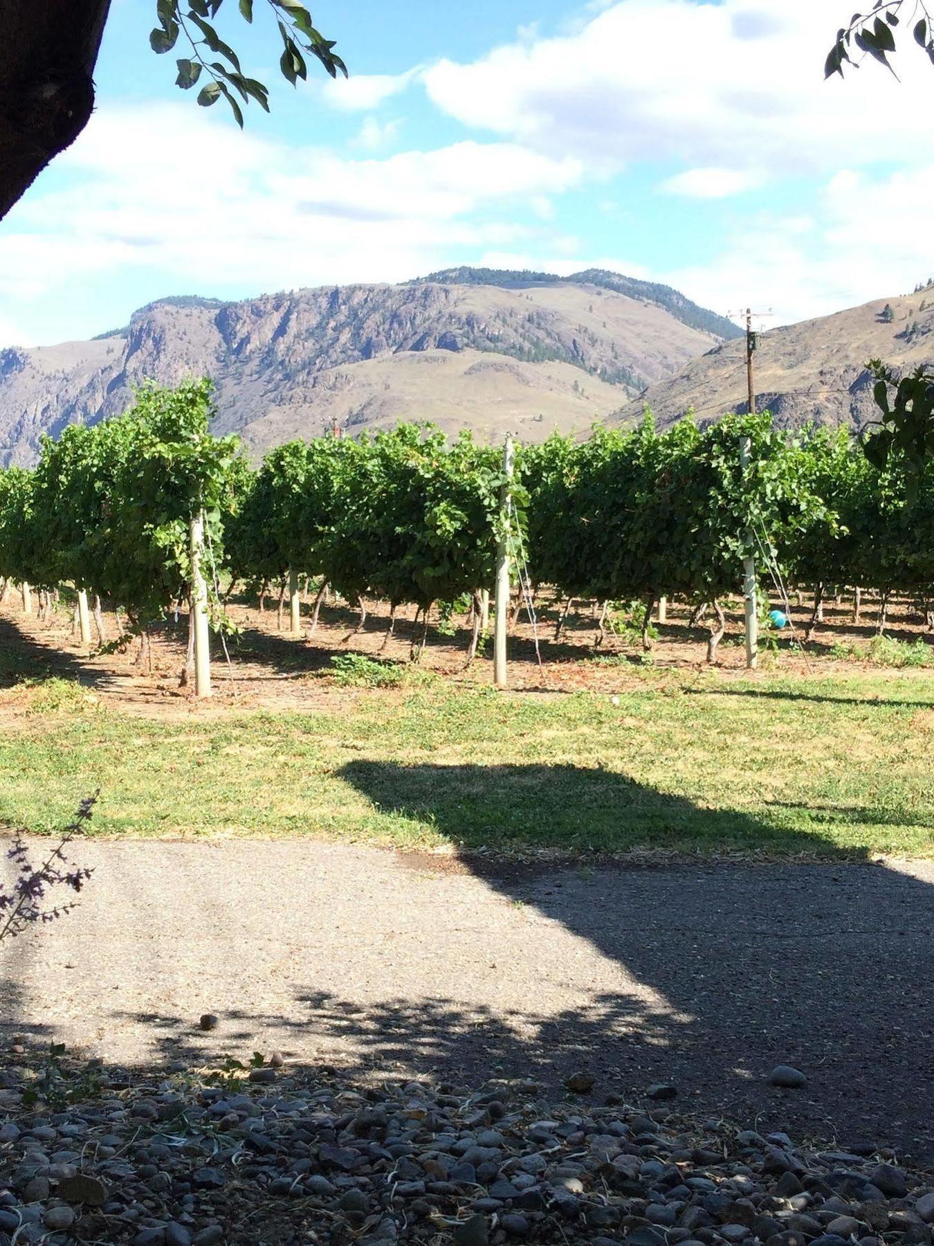 Crowsnest Vineyards Guesthouse Keremeos 外观 照片